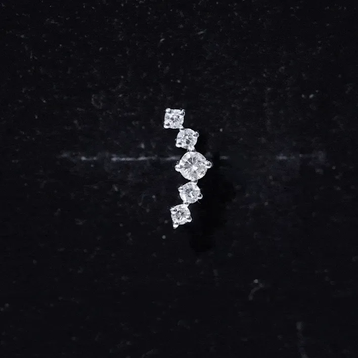 Graduated Style Diamond Crawler Earring